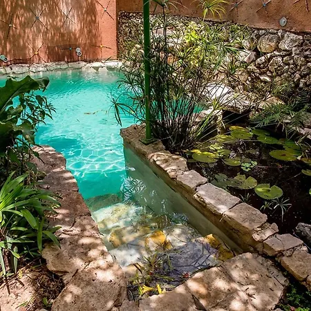 Casa De Los Xolos - Majikal B&B